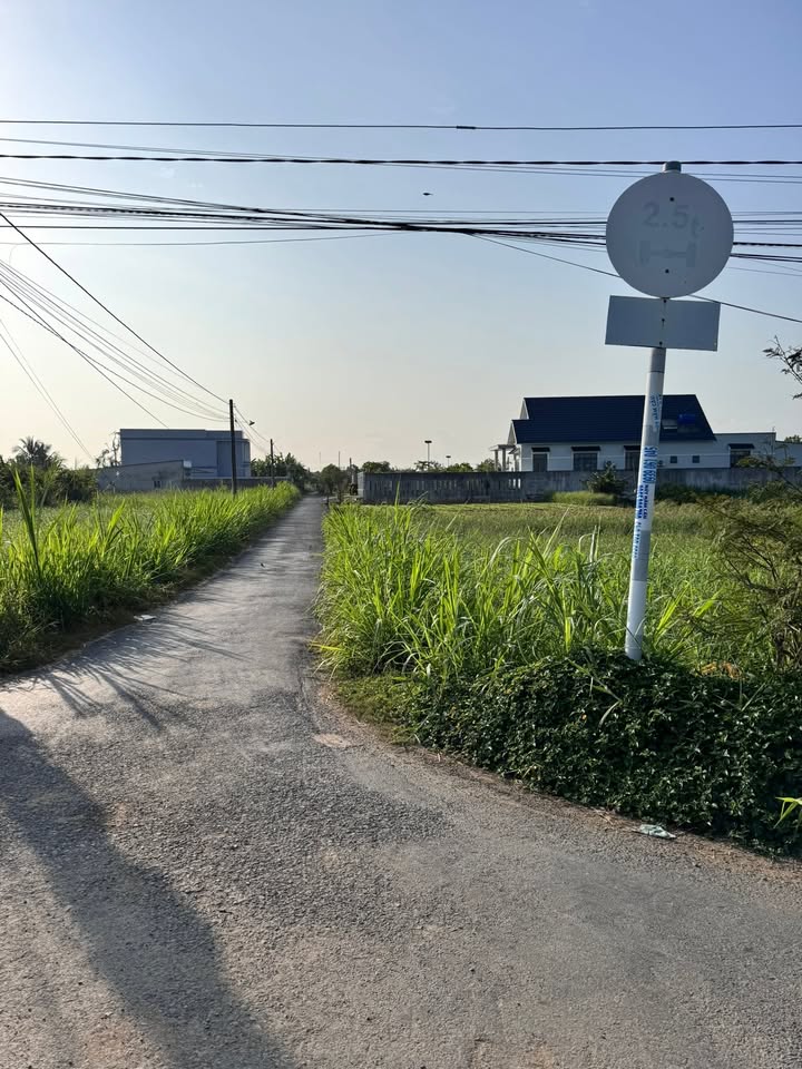 Đất Vườn 1000m² Mặt Tiền Nhựa Tân Xã, Gò Công - Sổ Hồng Sẵn Sàng