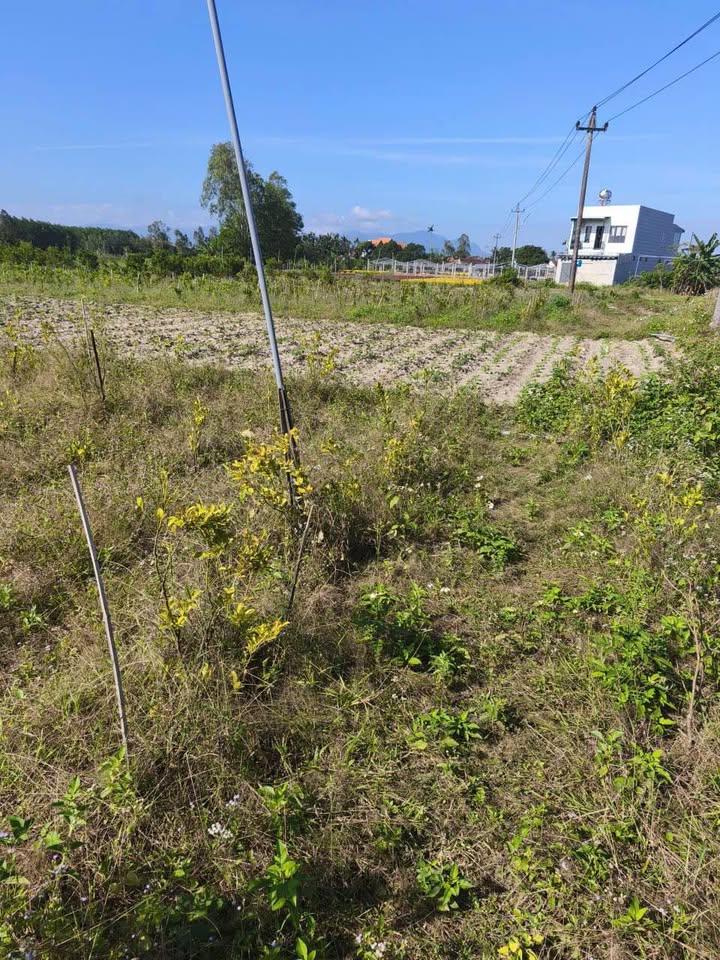 Đất nền Thị Trấn La Hà 700m² giá 200 triệu - Mặt tiền tương lai sáng giá!