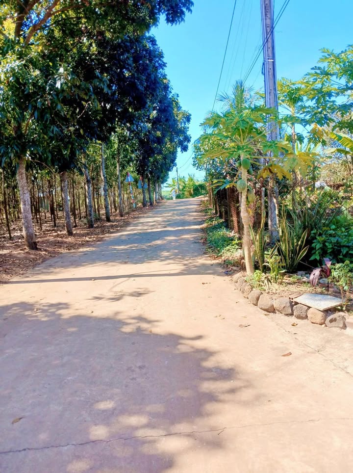 Đất nền 1100m² Vĩnh Tân, Tân Uyên giá 1.1 tỷ - Sổ hồng riêng chính chủ!