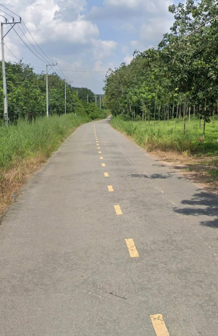 Đất nền Bắc Tân Uyên 1909m² giá 4.35 tỷ - Mặt tiền nhựa giao thông thuận tiện!