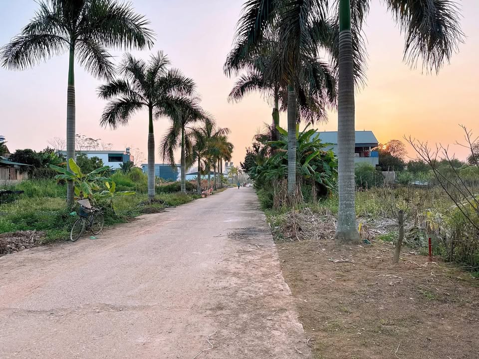 Đất nền Tiên Kiên, Lâm Thao 171m² giá 1 tỷ - Cơ hội đầu tư hấp dẫn!