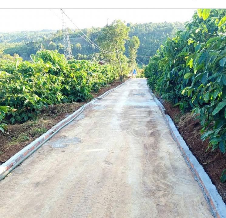 Đất nông nghiệp 2ha tại Chư Păh, Gia Lai chỉ 3.8 tỷ - Cơ hội đầu tư tốt!