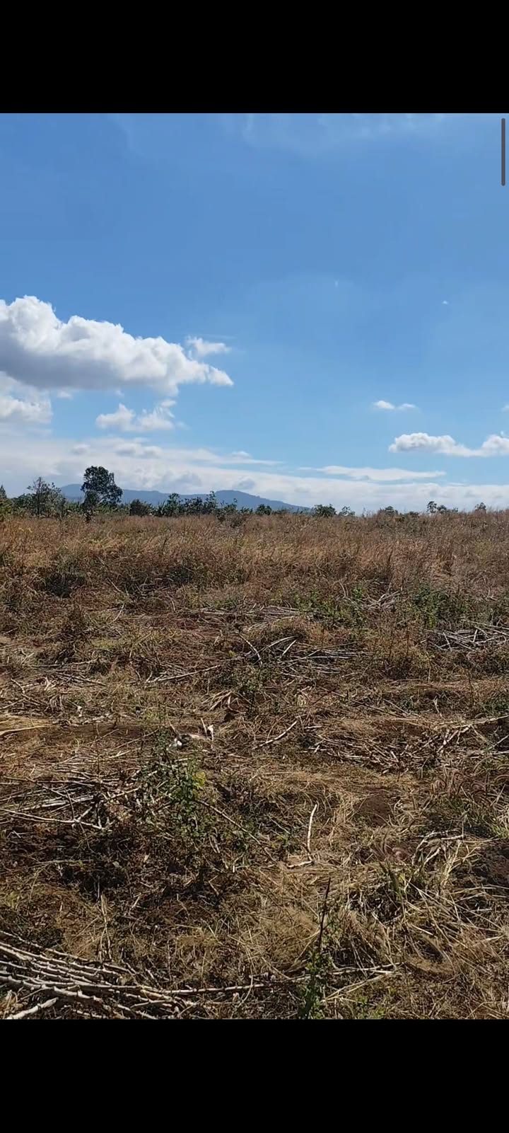 Lô đất 5ha tại xã Đê Ar, huyện Mang Yang giá chỉ 1 tỷ - Cơ hội đầu tư hấp dẫn!