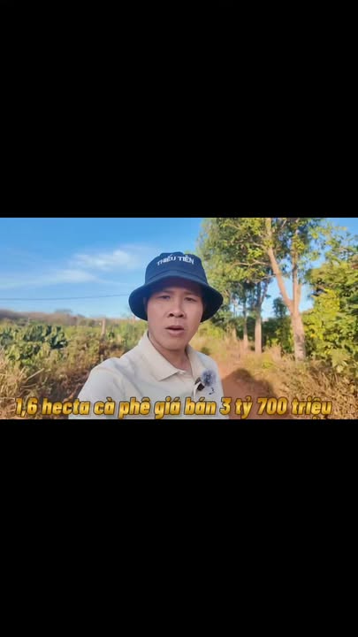 Đất Farm 1,6 hecta tại xã Ia Boòng, huyện Chư Prông, Gia Lai - Cơ hội đầu tư hấp dẫn!