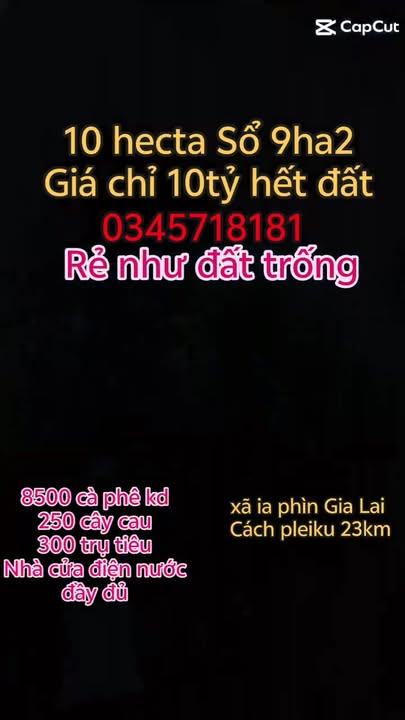 Farm cà phê 10ha tại Ia Phìn, Chư Prông giá chỉ 10 tỷ - Pháp lý rõ ràng