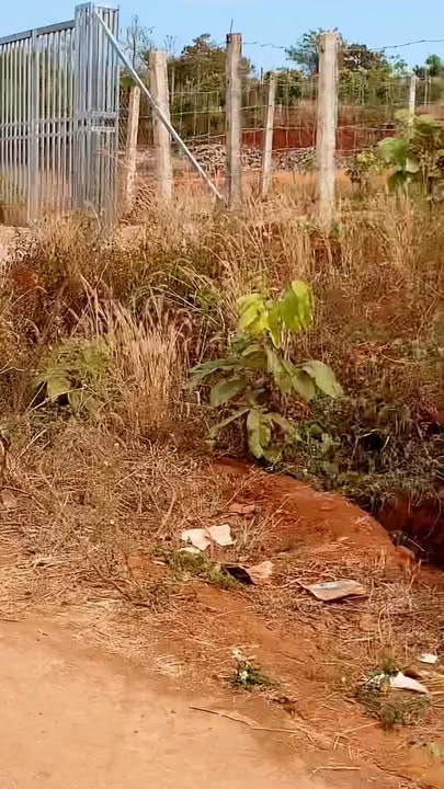 Đất Biệt Thự Vườn 480m² Thị Trấn Chư Ty, Gia Lai - Giá Xả Lỗ 6xx Triệu