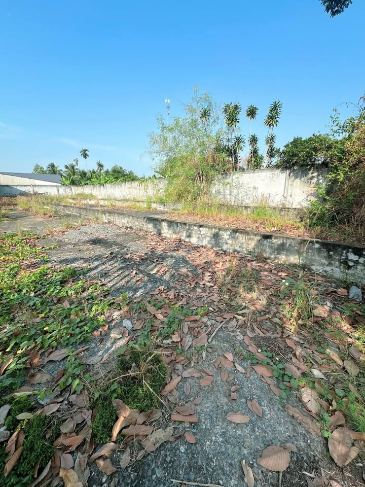 Đất thổ cư mặt tiền đường Nguyễn Thị Định, Bến Tre 226.2m² giá chỉ 2.47 tỷ - Cơ hội hiếm có!