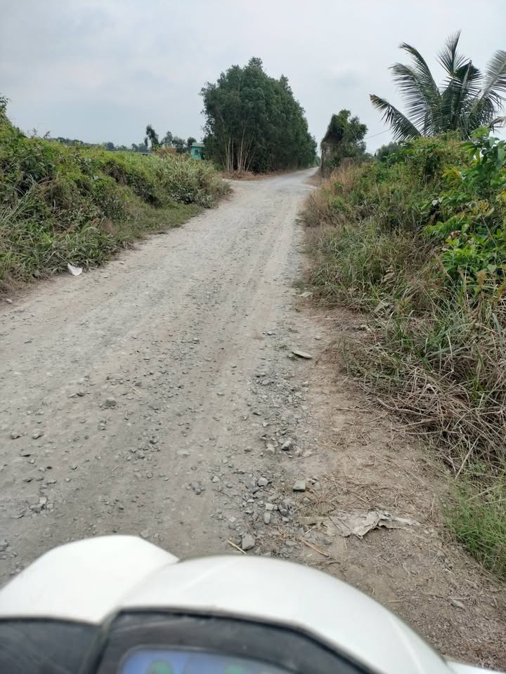 Đất nền 1031m² Tân Thành, Thủ Thừa, Long An - Giá 2.1 tỷ, cơ hội đầu tư tuyệt vời!