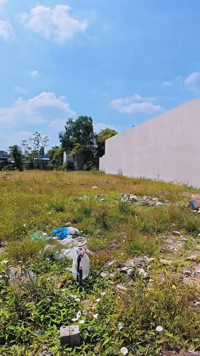 Đất thổ cư Mỹ Lộc, Cần Giuộc 162m² giá 1.15 tỷ - Đầu tư sinh lời ngay!