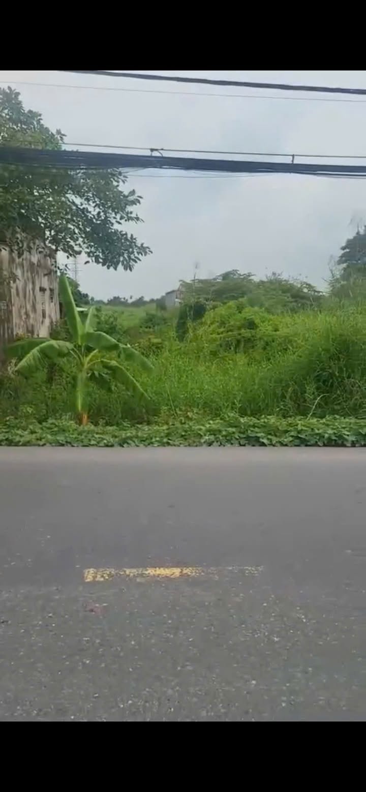 Đất Bán Mặt Tiền Võ Văn Bích, Củ Chi 307m² Giá 7.499 Tỷ - Cơ Hội Đầu Tư Hiếm Có!