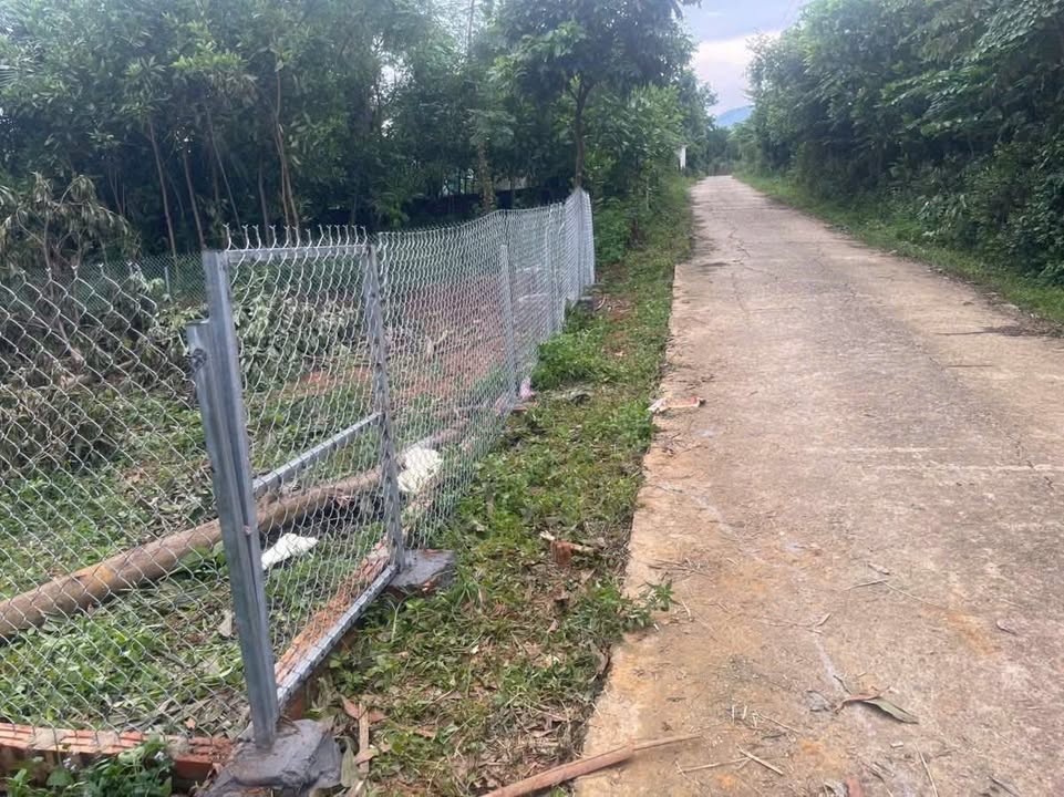 Đất nền Phượng Vĩ, Cẩm Khê 602m² giá 2,1 tỷ - Đầu tư tiềm năng nghỉ dưỡng!