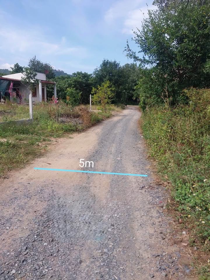 Đất thổ cư 320m² tại Cam An Bắc, Cam Lâm giá 1.4 tỷ - Cơ hội đầu tư hấp dẫn!