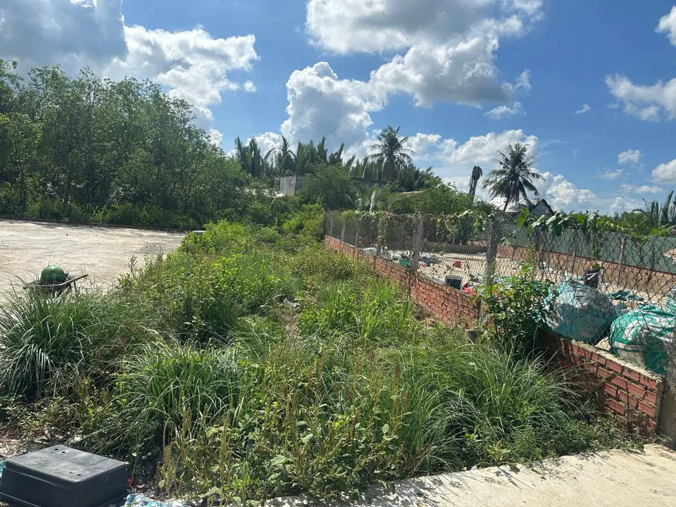 Đất thổ cư Bình Khánh, Cần Giờ 117m² giá 2.4 tỷ - Bán gấp, bớt lộc!