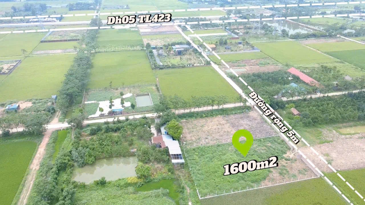 Đất Farm Dương Cốc Quốc Oai 1600m² giá thỏa thuận - Không lỗi phong thủy!