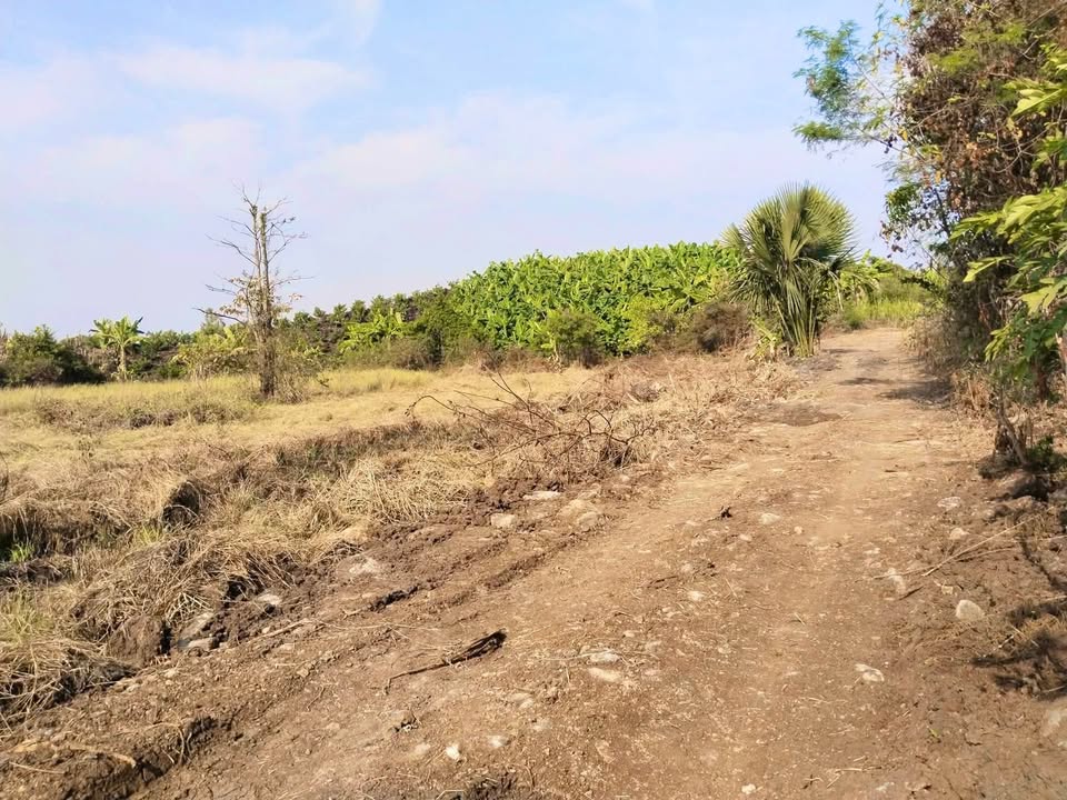 Đất nền 3600m² tại xã Sông Thao, huyện Trảng Bom - Giá chỉ 1 tỷ!