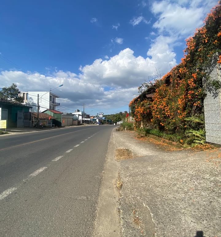 Mặt tiền FrontHouse Quốc Lộ 20, Bảo Lộc 1440m² giá chỉ 7.98 tỷ - Kinh doanh sầm uất!