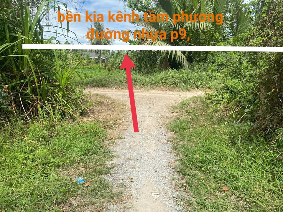 Đất Farm Phường 9, Trà Vinh 2000m² giá 600 triệu - Mặt tiền bờ kênh thuận lợi!