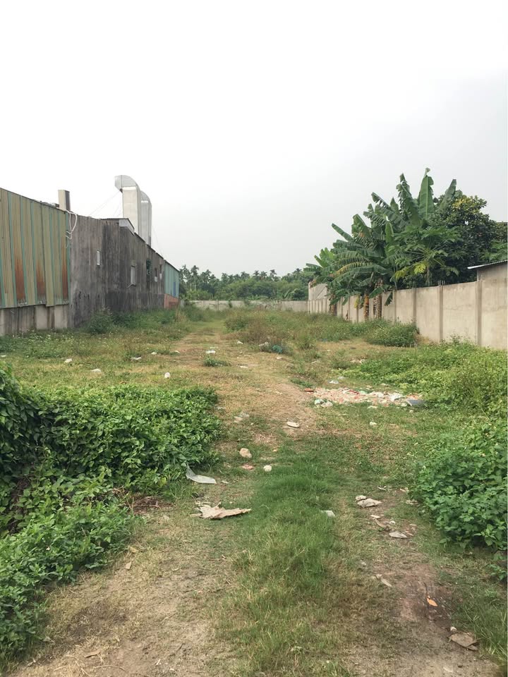 Đất mặt tiền đường Nhị Bình 7, Hóc Môn 1000m² - Giá đầu tư hấp dẫn!