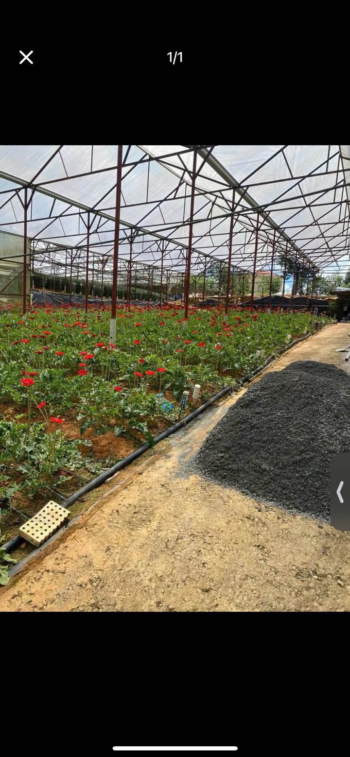 Đất nền Phường 8, Đà Lạt 65m² giá 650 triệu - Đường ô tô vào tận nơi!