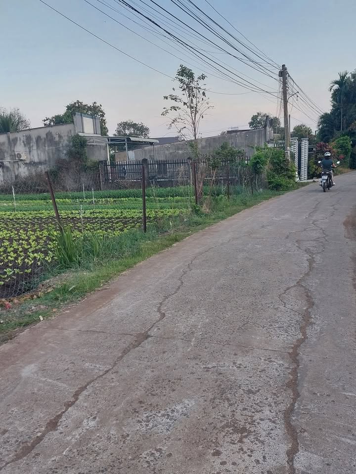 Đất nền Xuân Thành 120m² giá 320 triệu - Đầu tư sinh lời ngay!