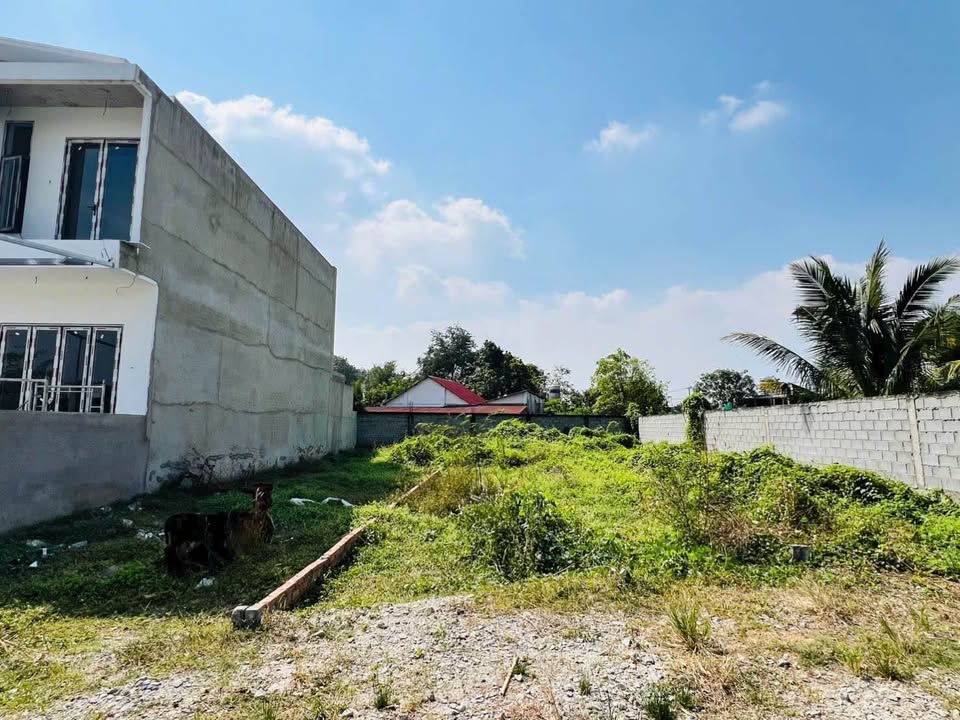 Đất nền Xã Phước Hiệp, Huyện Củ Chi 130m² giá 1.3 tỷ - Đầu tư sinh lời!