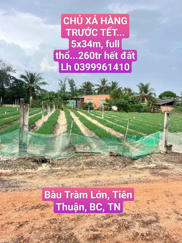 Đất Bàu Tràm Lớn, Bến Cầu 170m² giá 260 triệu - Cơ hội đầu tư tuyệt vời!