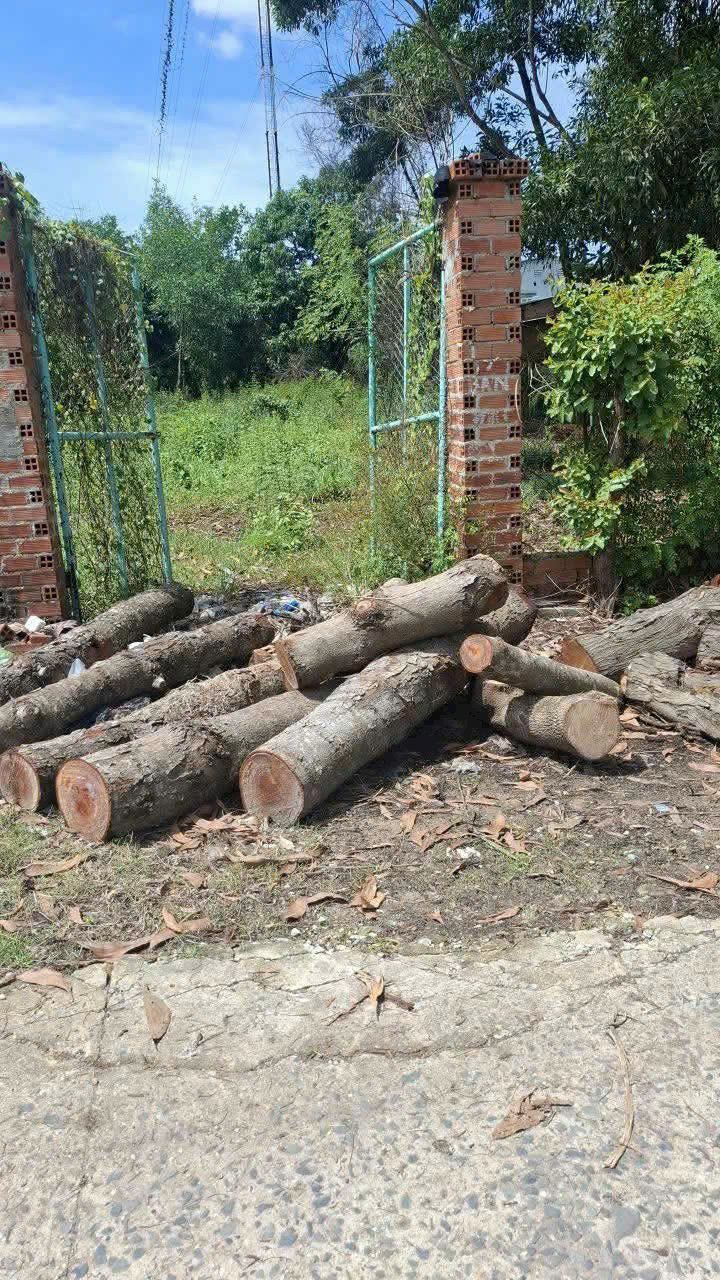 Đất nền khu phố Thanh Sơn, Tây Ninh 216m² giá 2.7 tỷ - Đầu tư sinh lời ngay!