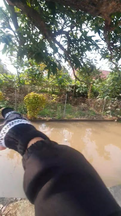 Đất nền 875m² Xóm 1, Nghĩa Thành, giá thỏa thuận - Đầu tư sinh lời lý tưởng!