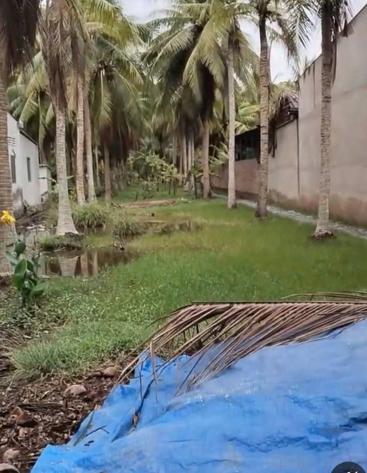 Đất nền An Thới, Mỏ Cày Nam 375m² giá 830 triệu - Thương lượng ngay!