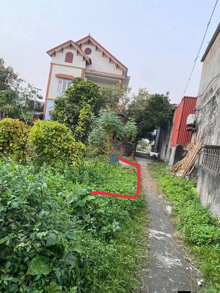 Đất nền xã Văn Cẩm, Huyện Hưng Hà, 100m² giá 500 triệu - Đường thông thoáng, dân cư đông đúc!