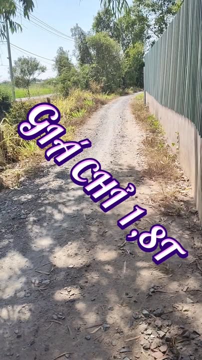 Đất vườn Hóc Môn 312m² giá chỉ 1.8 tỷ - Đầu tư sinh lời hấp dẫn!