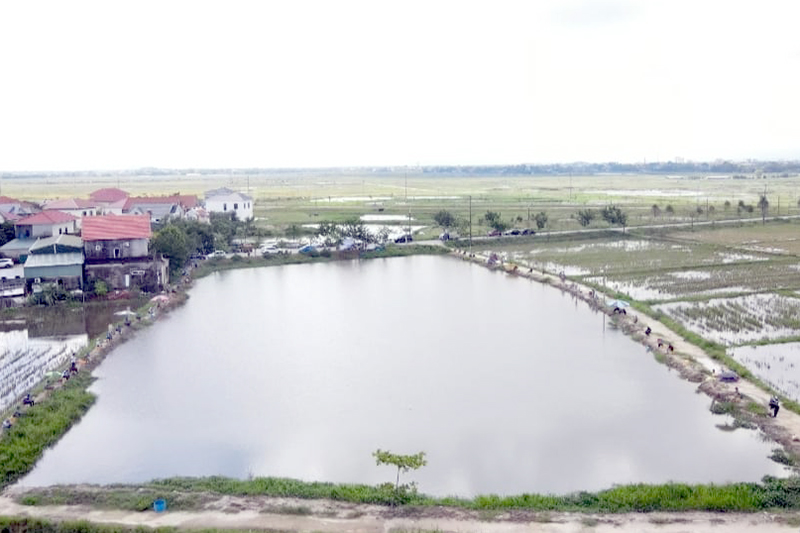 Đất nông nghiệp Quang Trung, Bỉm Sơn 3.000m² - Tiềm năng đầu tư lớn!