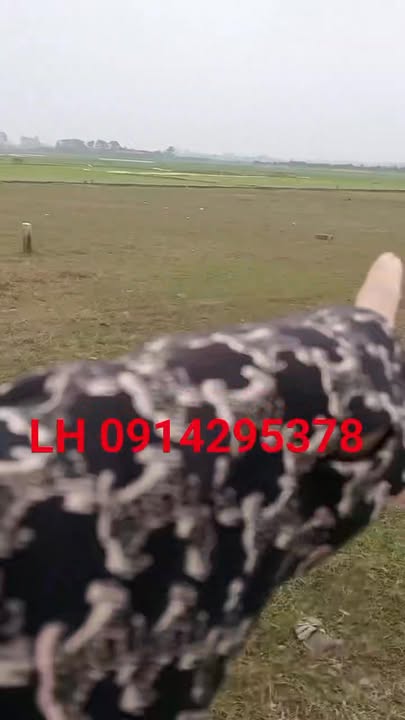 Đất nền Xuân Phong, Thọ Xuân 175m² giá 500 triệu - Cơ hội vàng trước Tết!