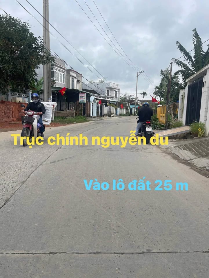 Lô đất Nguyễn Du, Đà Nẵng 100m² giá Thỏa thuận - Đầu tư sinh lời tốt!