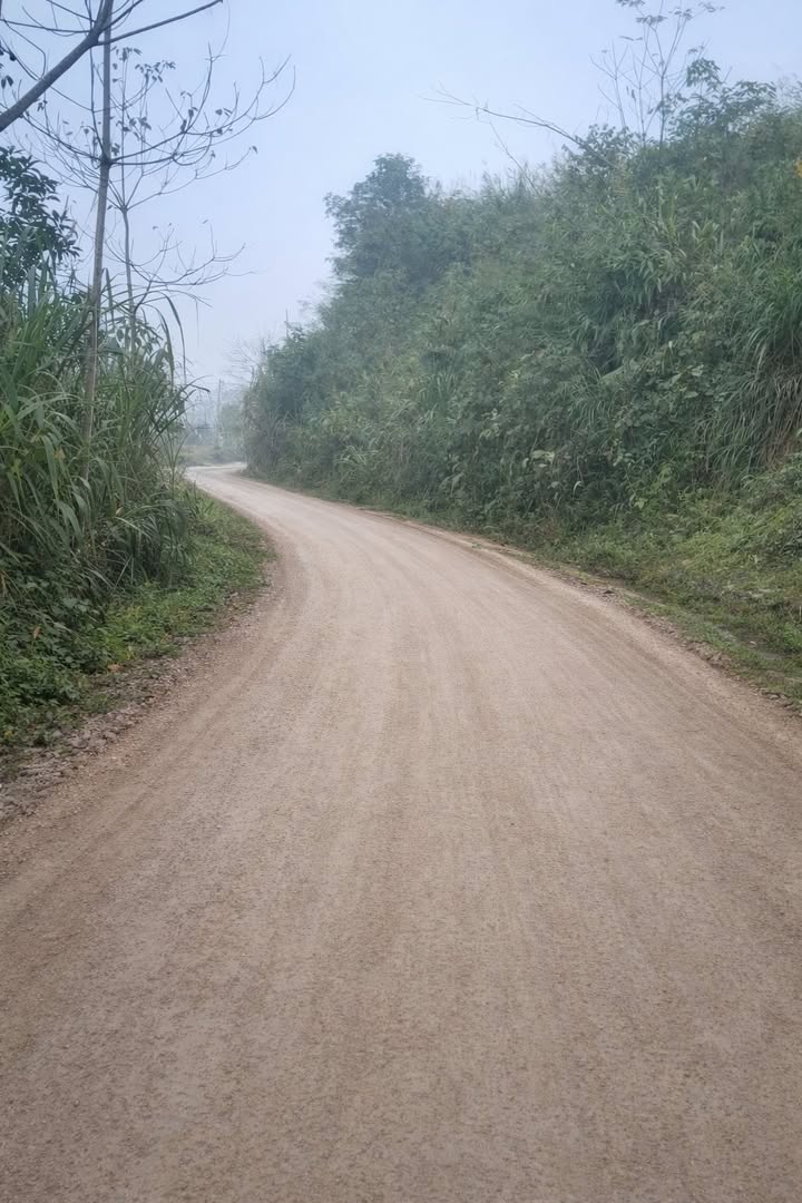 Đất thổ cư 400m² Huyện Thạch Thất 4.000m² giá chỉ 200 triệu - Đầu tư sinh lời hấp dẫn!