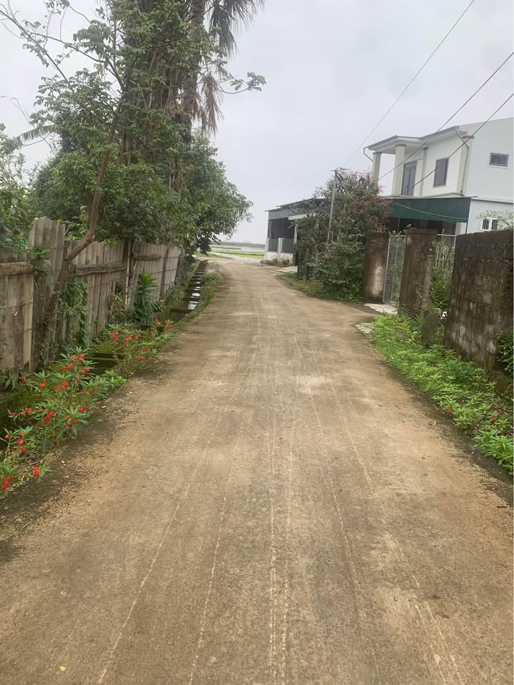 Đất nền TDP Tiến Bộ, Hà Huy Tập 222m² - Giá thỏa thuận cực hấp dẫn!