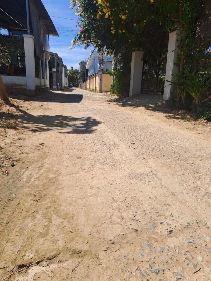 Bán Gấp 2 Lô Đất Thổ Cư 118.8m² Phước Hậu, Ninh Phước - Giá Tốt