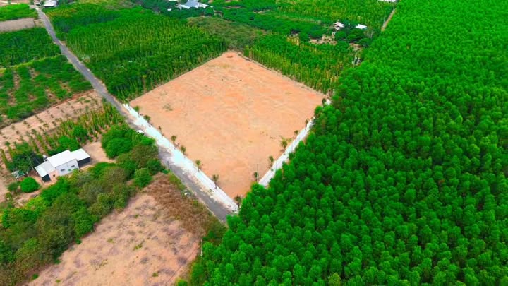 Đất thổ cư xã Hòa Hội 4160m² giá thỏa thuận - Sổ hồng riêng chính chủ!