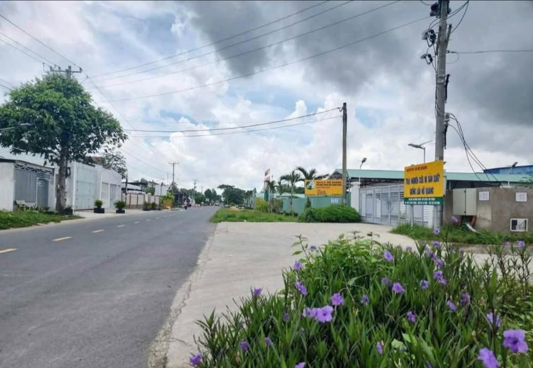 Đất mặt tiền An Dương Vương, Phường 10, TP Sóc Trăng 6000m² - Giá tốt đầu tư!