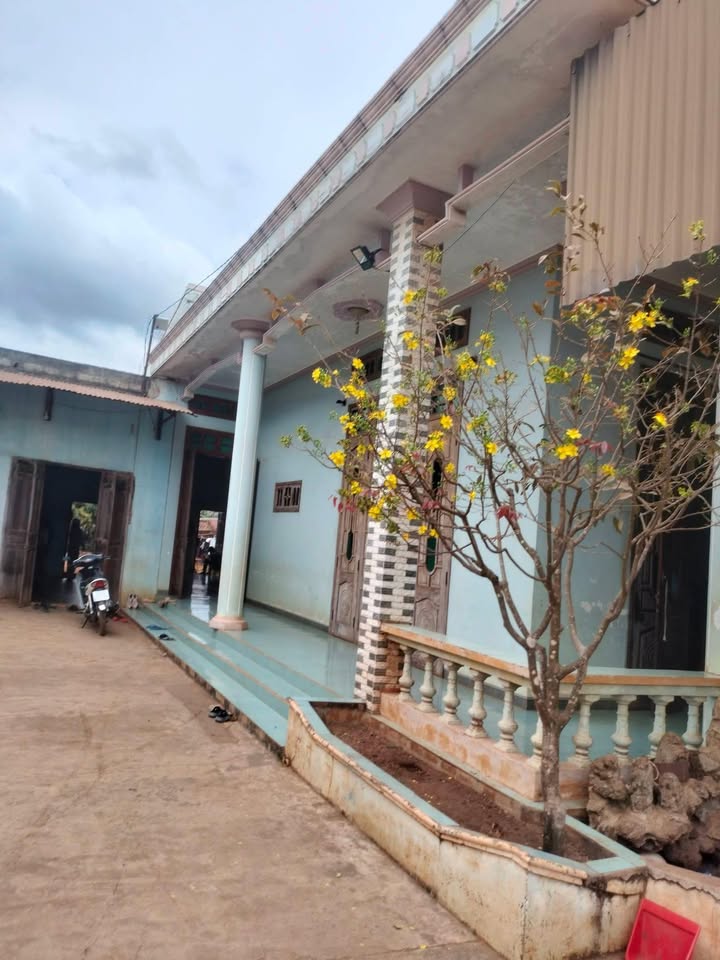 Đất thổ cư 650m² Huyện Cư M'gar giá 2.7 tỷ - Khu vực kinh doanh sầm uất!