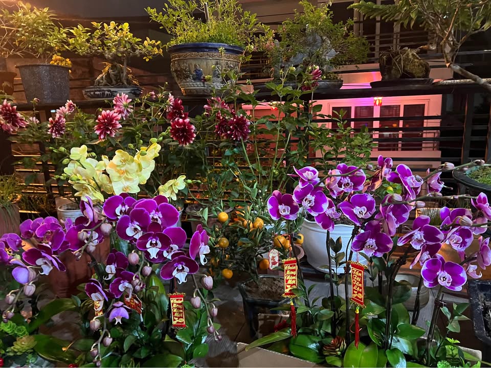 Đất nền Cam Giá Ninh Khánh 53m² giá 1,5 tỷ - Vị trí gần phố cổ