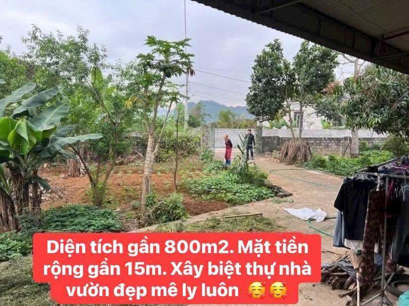 Đất nền xã Thạch Bình, Nho Quan, Ninh Bình 766m² giá chỉ 2.987 tỷ - Cơ hội đầu tư hiếm có!