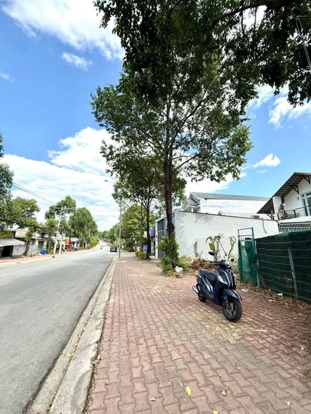 Đất Mặt Tiền Nguyễn Đức Thuận, Quận 12 - 240m² Kinh Doanh Đắc Lợi