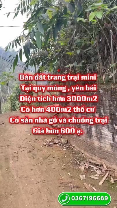 Trại mini 3000m² tại Quy Mông, Yên Bái - Giá chỉ 600 triệu