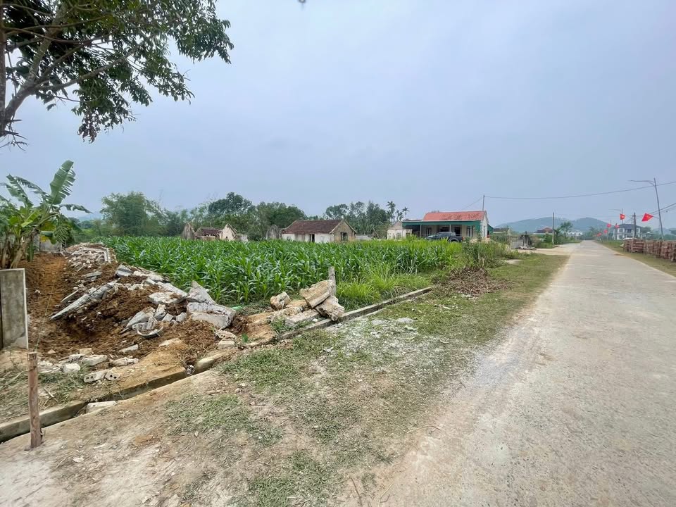 Đất nền 540m² Thị trấn Hoa Thành - Giá chỉ 1 tỷ, cơ hội đầu tư tuyệt vời!