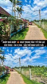 Đất nền tại trung tâm Y tế Tân Lạc, Đà Lạt 120m² chỉ 320 triệu - Sổ đỏ chính chủ!