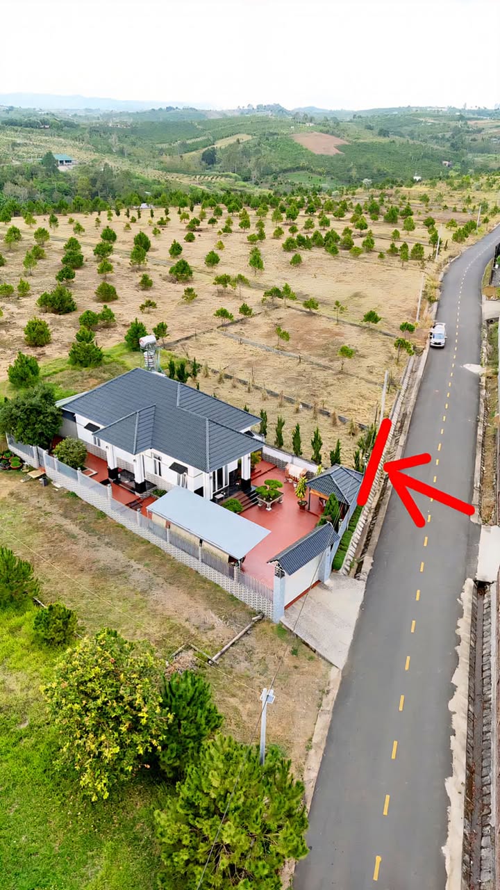 Đất Nền Bảo Lộc 300m² - Sổ Hồng Sẵn Sàng Đầu Tư Sinh Lời