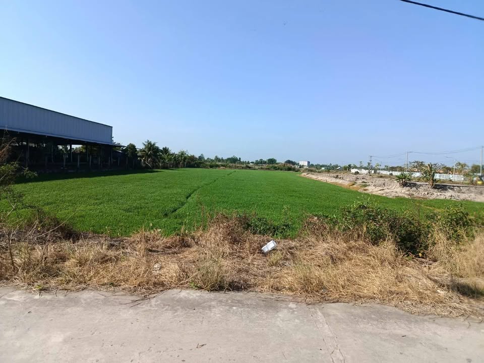 Đất nông nghiệp 8,7 công tại Phường Bình Đức - Giá tốt đầu tư chỉ 2 tỷ VND!