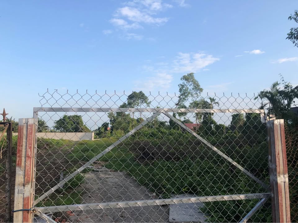 Đất vườn 100m² đường Bờ Tày Cầu Số Hai giá 1.6 tỷ - Cơ hội đầu tư hấp dẫn!