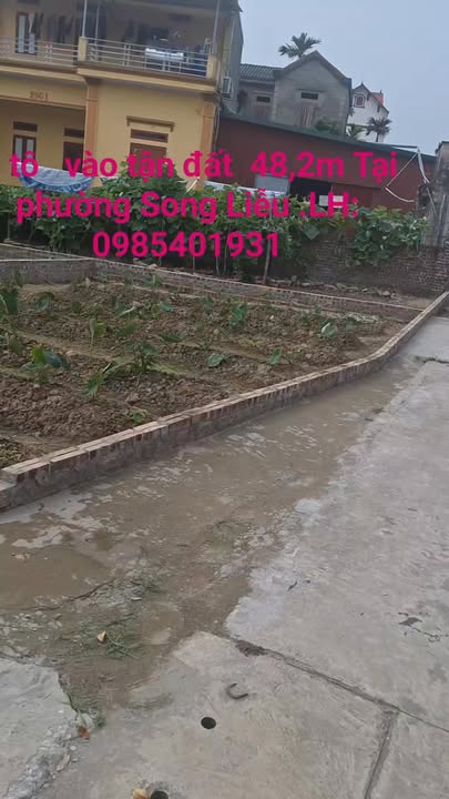 Đất nền đẹp phố Đông Cốc, 48m² giá chỉ 1 tỷ - Nở hậu, ô tô vào tận đất!